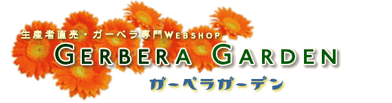 生産者直売ガーベラ専門WebShop「ガーベラガーデン」